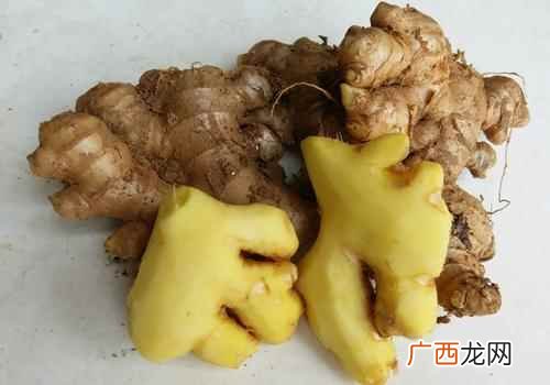 小黄姜的功效与作用禁忌 小黄姜的功效与作用