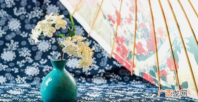 我与春风皆过客完整诗句解释 我与春风皆过客完整诗句