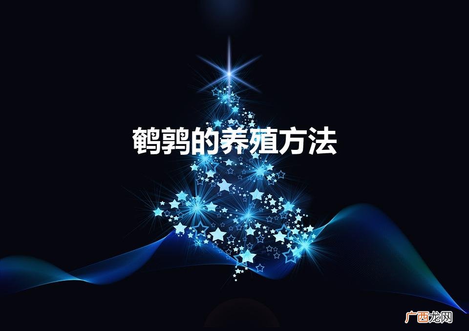 鹌鹑的养殖方法(养5000只鹌鹑一年利润)