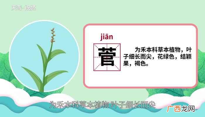 菅怎么读拼音是什么 菅怎么读什么意思
