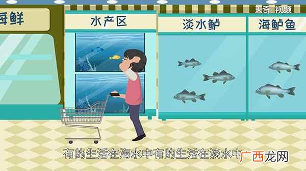 河鲈鱼和淡水鲈鱼的区别 鲈鱼是淡水鱼还是海鱼