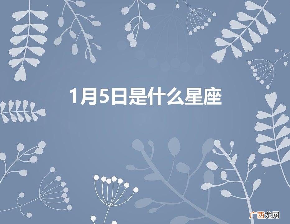 摩羯座 1月5日是什么星座
