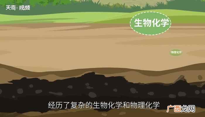 液化气是清洁能源吗 煤是清洁能源吗