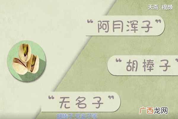 开心果的功效与作用 开心果的营养价值