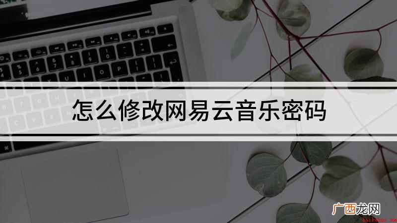 怎么修改网易云音乐密码