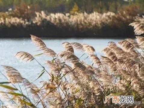 2023年双春年闰二月有哪些预兆 闰二月是什么意思