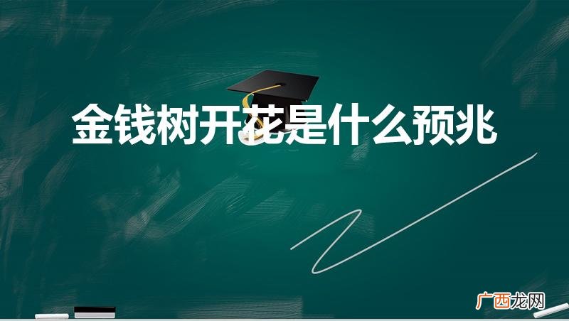 金钱树开花八大预兆 金钱树开花是什么预兆