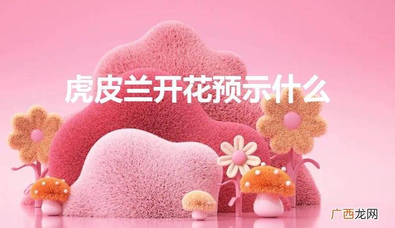 虎皮兰开花有什么预兆 虎皮兰开花预示什么