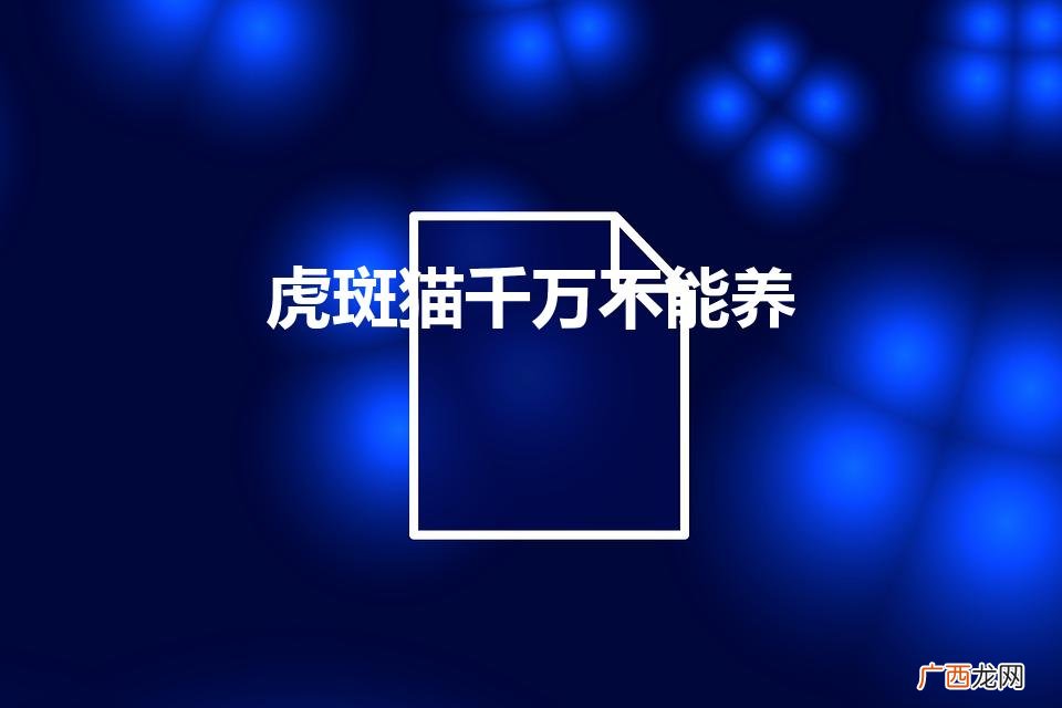 新手能不能养虎斑猫 虎斑猫千万不能养