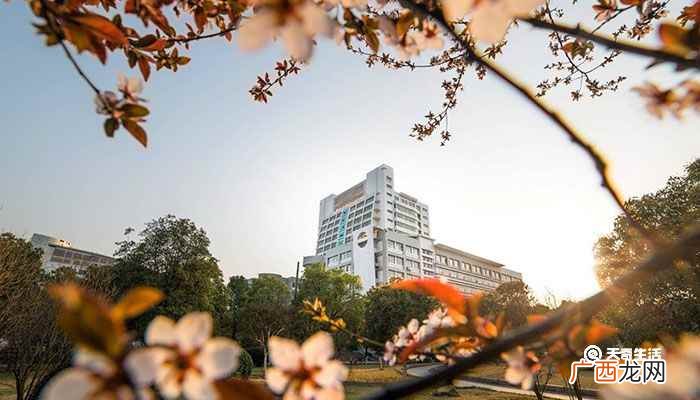 教育部门并没有说南华大学是一本还是二本 南华大学是几本