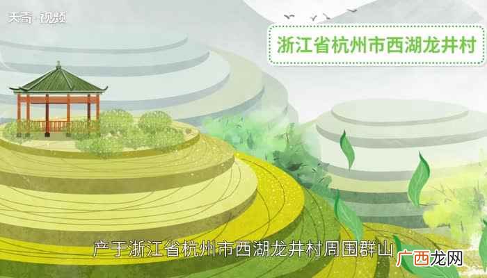 龙井是什么茶叶红茶还是绿茶 龙井是什么茶