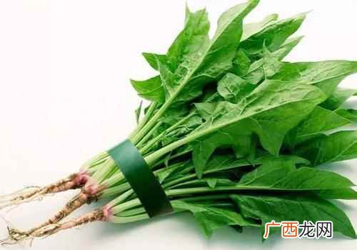 贫血者可以适当多吃一些菠菜 菠菜有什么好处
