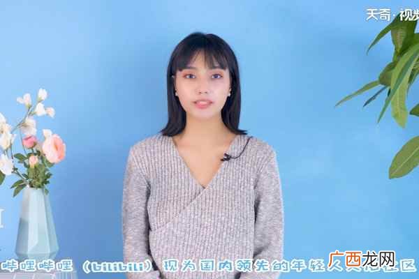 B站在00后十大新鲜关注APP中排名第一 b站是什么