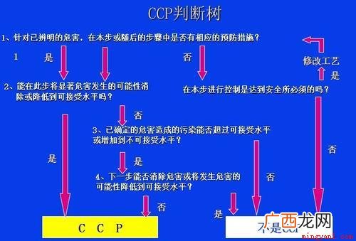 ccp是什么意思如何选择关键控制点 ccp是什么意思