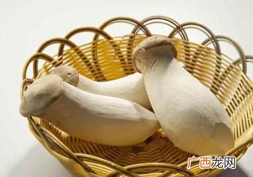杏鲍菇有毒吗能吃吗 杏鲍菇有毒吗