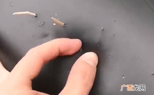 注意了!共享电动车车座被扎4根牙签,引全网热议!