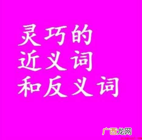 灵巧的近义词是什么