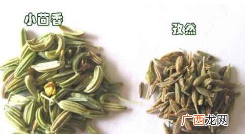 小茴香和孜然的区别是什么图 小茴香和孜然的区别