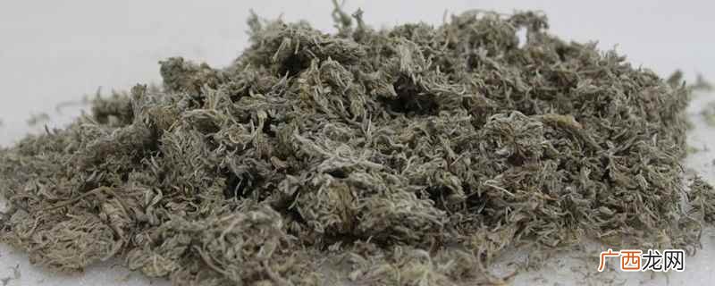 茵陈的功效与作用禁忌症 茵陈的功效与作用禁忌