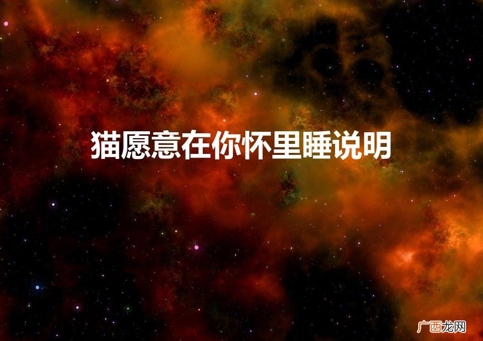 猫在怀里睡觉是信任吗 猫愿意在你怀里睡说明