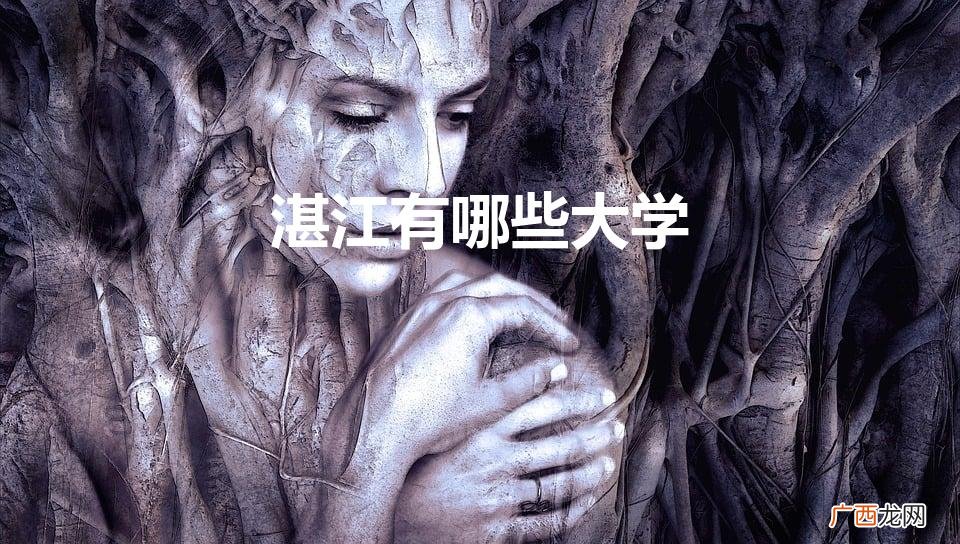 广东大学有哪些 湛江有哪些大学