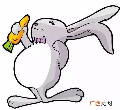 属兔最佳婚配前三名属相 兔生肖和什么最配
