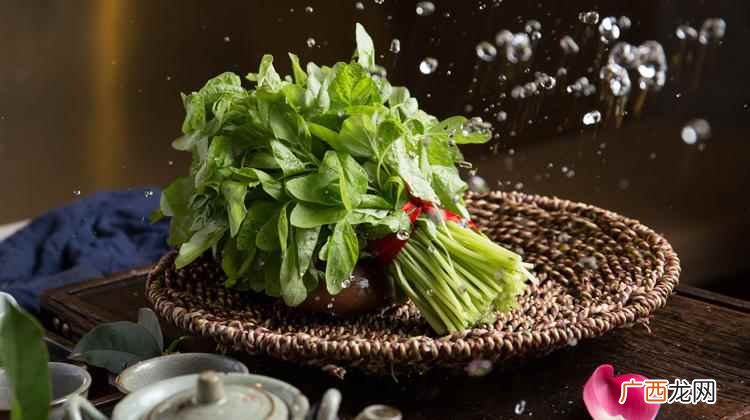 野刺苋菜根的药用价值 野刺苋菜的功效与作用