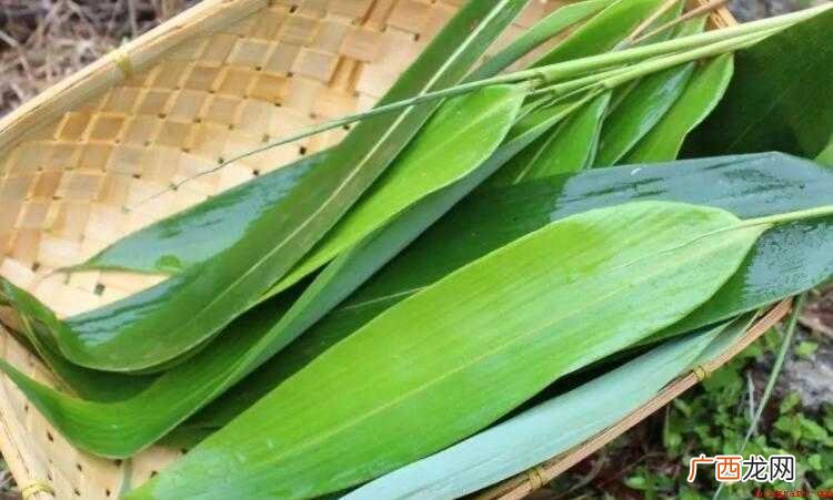 芦苇叶怎么保存