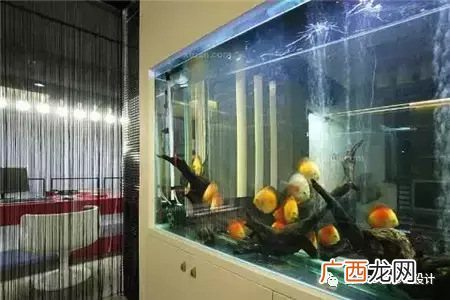 卧室鱼缸摆放风水位置 鱼缸放卧室有什么讲究