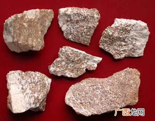 龙骨的功效与作用和图片大全 龙骨的功效与作用