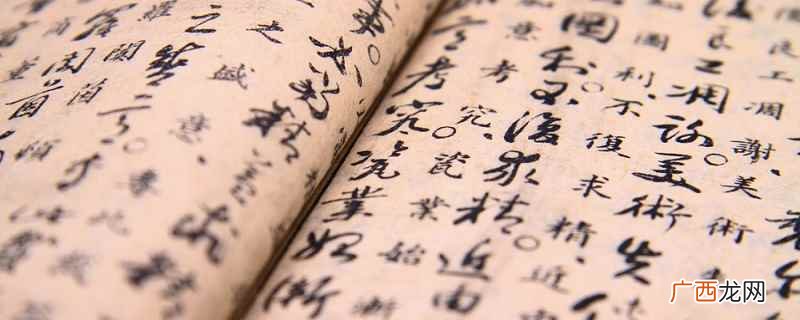 一龙一猪比喻什么成语 成语一龙一猪用来形容两个人什么