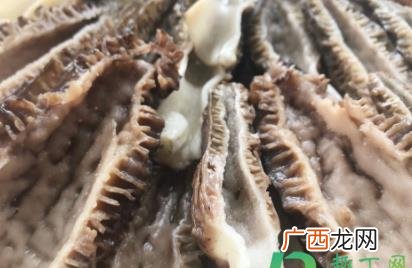 羊肚上的黑绒处理不掉可以吃吗 羊肚里面的绒毛怎么刮掉
