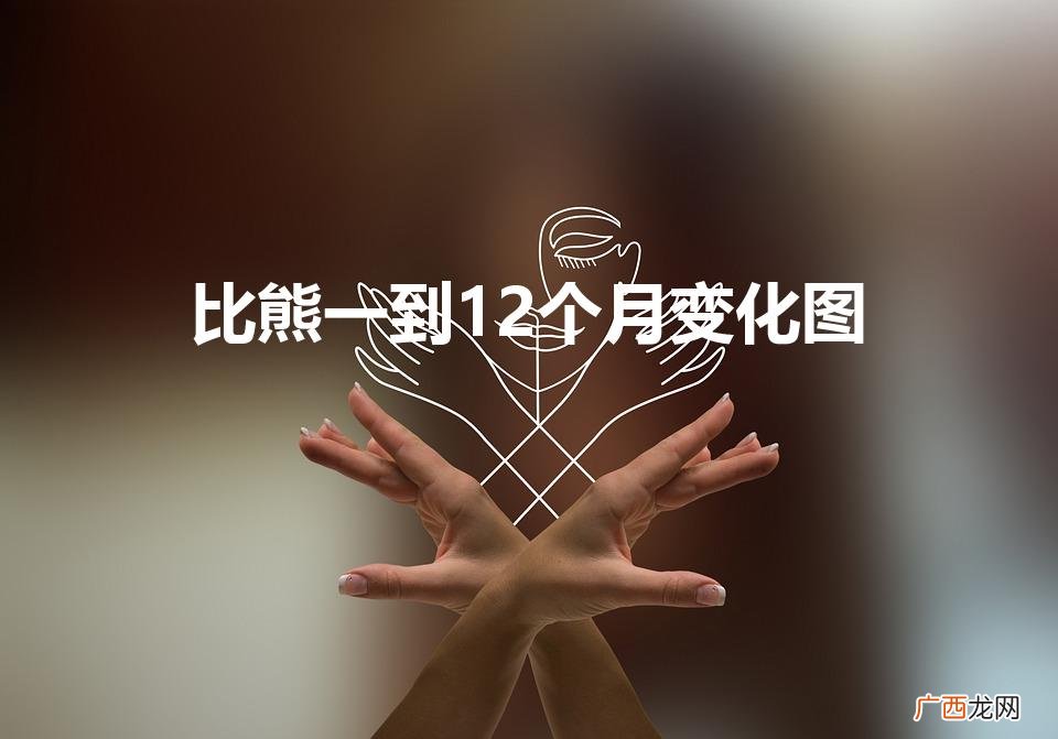 比熊一到12个月变化图（比熊几个月开始爆毛)