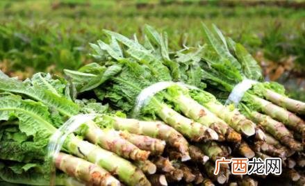 莴笋叶凉拌用焯水吗 莴笋叶不焯水能凉拌吗