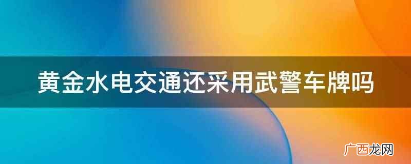 黄金水电交通不采用武警车牌了 黄金水电交通还采用武警车牌吗