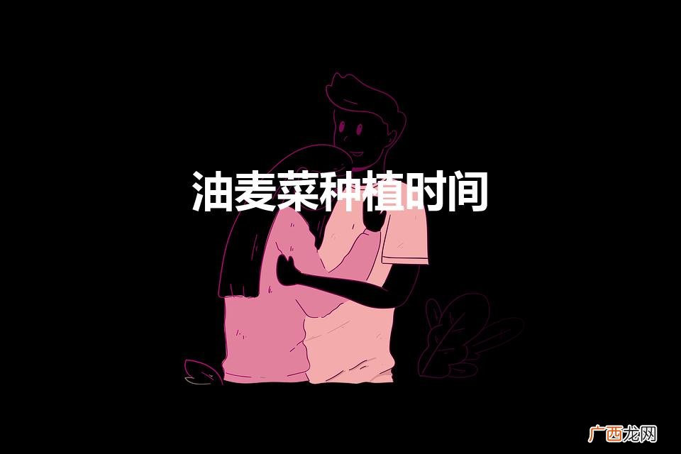 油麦菜的种植方法和时间 油麦菜种植时间