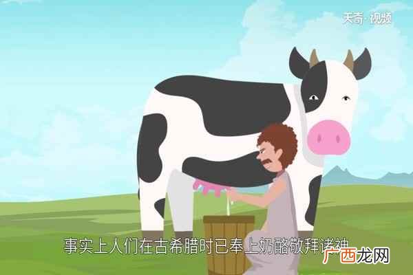 芝士是什么东西做的 芝士是什么