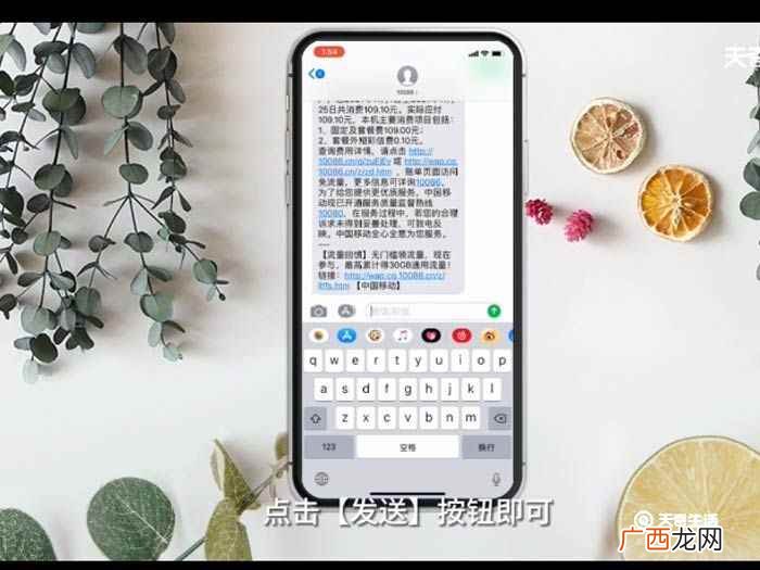 iOS12.1 中国移动话费账单查询怎么查