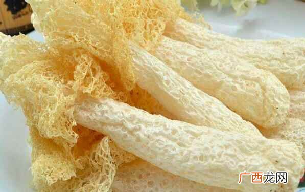 竹荪的功效与作用都有哪些