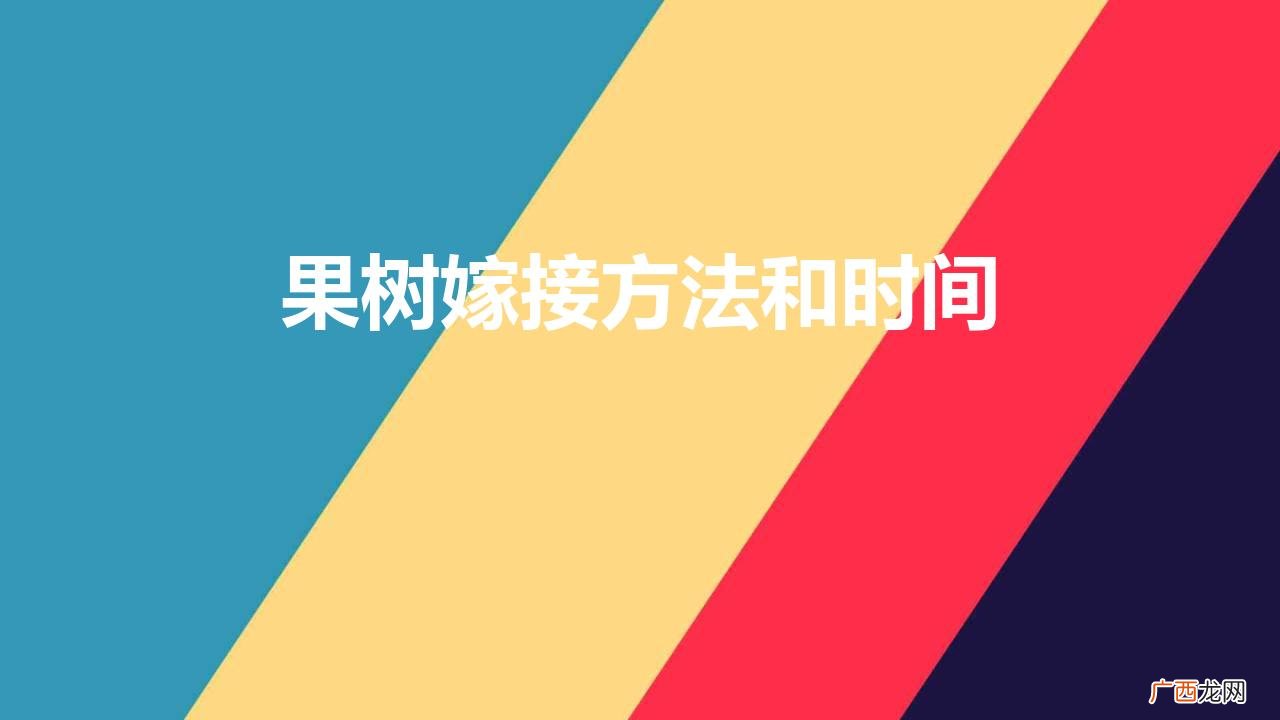 一般果树嫁接什么时间最好 果树嫁接方法和时间讲解