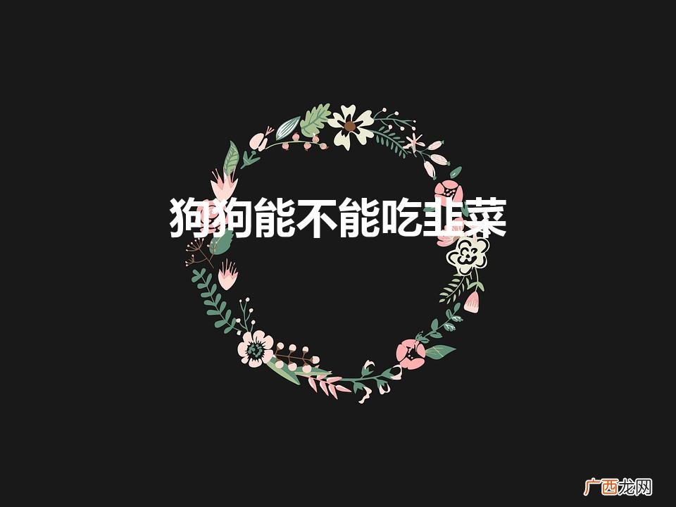 狗狗能不能吃韭菜（狗狗能不能吃韭菜豆腐)