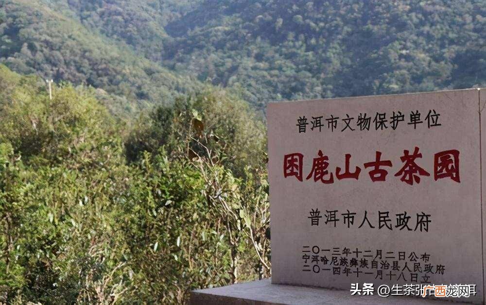 困鹿山普洱茶是哪个产区 困鹿山普洱茶特点口感