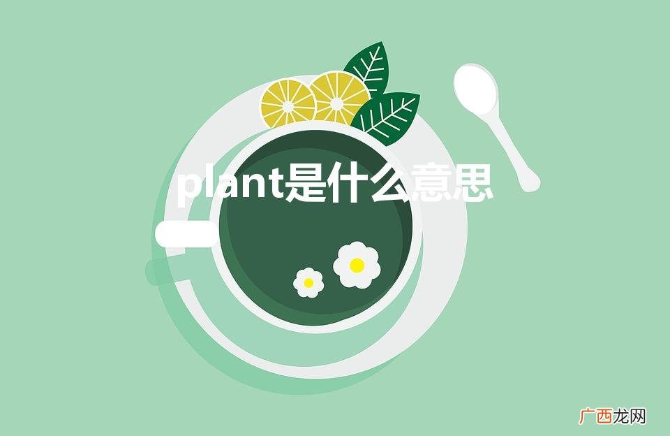 英文plant的中文翻译 plant是什么意思