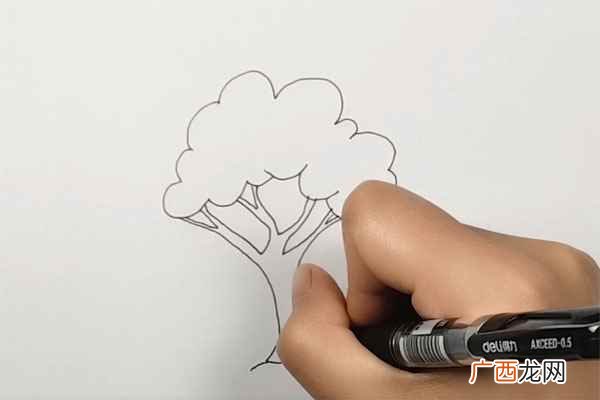 小树简笔画简单又好看 小树简笔画