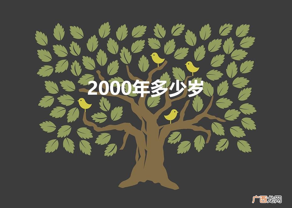 2000年出生的今年几岁了 2000年多少岁