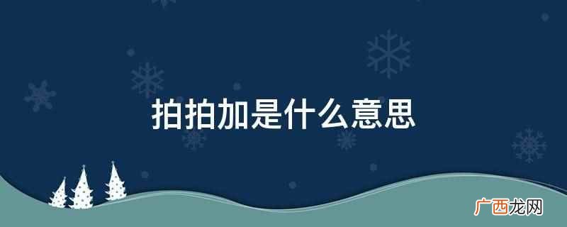 拍拍加是什么意思
