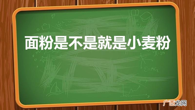 面粉是小麦粉吗 面粉是不是就是小麦粉