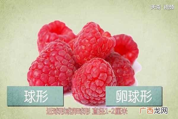 树莓的天然抗癌物质“花酸”含量超过蓝莓 树莓的营养价值