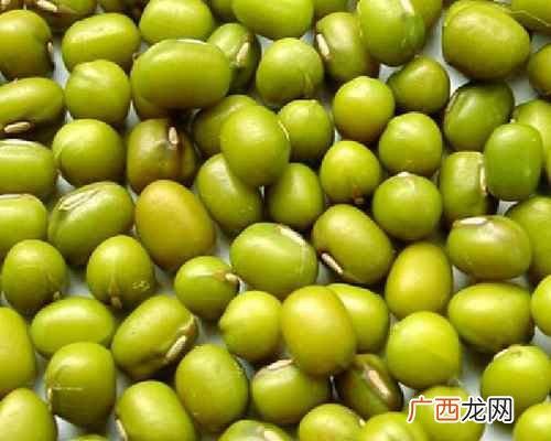 绿豆的功效与作用及禁忌症 绿豆的功效与作用及禁忌