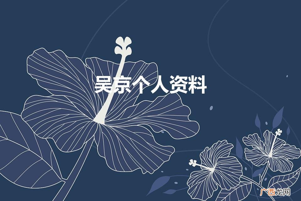 吴京个人资料简介 吴京个人资料